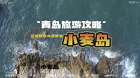 青岛小麦岛公园游玩攻略，看这条视频就够了