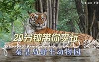 20分钟带你爽玩 秦皇岛野生动物园