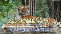20分钟带你爽玩 秦皇岛野生动物园