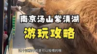 南京汤山紫清湖1分钟保姆级游玩攻略