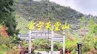 周末陪老爸爬常宁天堂山，原来最开心的不是看漫山杜鹃，是他摘蕨菜笑的像个孩子的样子