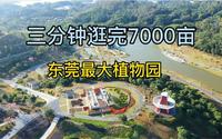 三分钟带你逛完，东莞最大植物园，去过的朋友一定很熟悉！