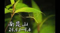 25年第一次南昆山野采 5.1-5.4