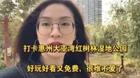 打卡惠州大亚湾红树林湿地公园，好玩好看又免费，很难不爱了！