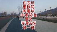 在四川攀枝花阿署达四季花海景区花景A区逛一逛