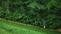 包场整座雅安张家山公园！！！！