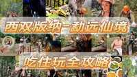 爆肝总结西双版纳-勐远仙境攻略