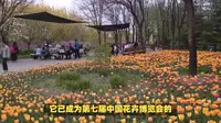 北京国际鲜花港深度游攻略