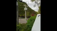 #遂宁凤凰栖景区