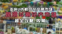 斗南花卉市场超全攻略（内幕），花艺人必知