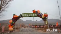 冠生园采摘研学游，追溯甜蜜，追逐快乐~#本溪