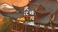 来“楚天第一楼”晴川阁登楼远眺吧！