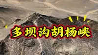 多坝沟胡杨峡