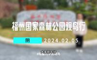 福州国家森林公园观鸟行
