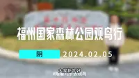 福州国家森林公园观鸟行