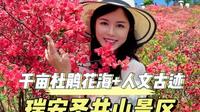 瑞安圣井山景区游玩攻略来啦，千亩杜鹃花海+人文古迹，安排！