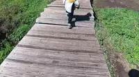 爬完松树头才懂，这才是赛里木湖天花板视角