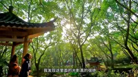 重庆历史名园——鹅岭公园