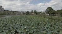 兴仁广场、兴仁东湖湿地公园