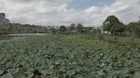 兴仁广场、兴仁东湖湿地公园