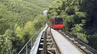 第一人称打卡南山竹海网红小火车