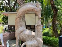 汕头中山公园动物园2025年国庆第一天，人不多