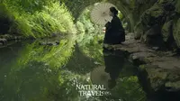 杭州西湖中这些绝美机位｜柳浪闻莺