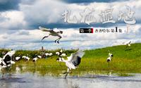 中国鹤之乡 扎龙湿地 【路客寻记】第一季 齐齐哈尔01