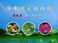 超大的【华南国家植物园】都有哪些园区？看完视频下次就知道怎么玩啦~