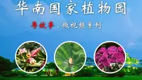 超大的【华南国家植物园】都有哪些园区？看完视频下次就知道怎么玩啦~