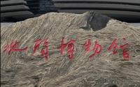 山西地质博物馆