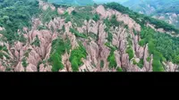 甘肃天水 土石林