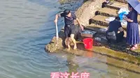 名曰天马栈桥，栈桥确实不错，观景钓鱼胜地，可天马就有点诡异了