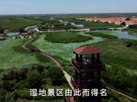 禹王国家湿地公园位于潍坊市寒亭区高里街道辖区内，因湿地内拥有省级文物保护单位夏代禹王台而得名，总面积678.55公顷,湿地率76.94%。