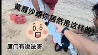 我们居然触发了黄厝沙滩的隐藏buff……