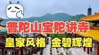 【普陀山景区】实拍普陀山宝陀讲寺，规模巨大的新建寺庙，皇家风格，金碧辉煌