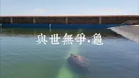 【湛江•硇洲•海龟城】
