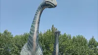 河南省郑州市自然博物馆免费旅游