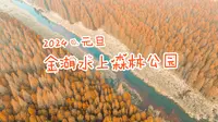 2024·元旦 金湖水上森林