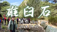 【北师大附中游学—番外篇 】和同学一起探险森林是什么体验？碓臼石徒步行vlog 2024.4.30