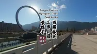 “西藏林芝工布公园”喂鸭子