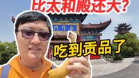 台湾法师出资2亿在河南驻马店打造亚洲第一大寺南海禅寺