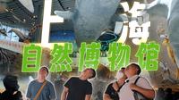听说上海自然博物馆搞了个恐龙展，于是我们就愉快地去团（kao）建（shi）了