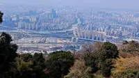 福州鼓山大榕树观景台