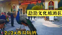 2024西双版纳之勐泐文化旅游区