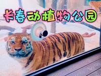 三月的长春动植物公园