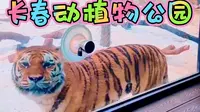 三月的长春动植物公园