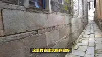 龙岩长汀汀江湿地公园：与鸟类共舞，体验自然和谐！