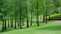 深圳·香蜜公园 | 明明是夏天，却美出了春天的模样。赶上了月季的尾声，也收获了一整园的温柔，阳光、微风、繁花、鸟鸣，还有满眼绿意……