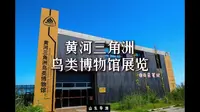 黄河三角洲鸟类博物馆展览